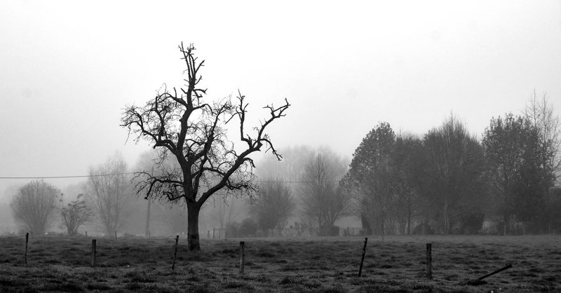 Panorama města Aalst