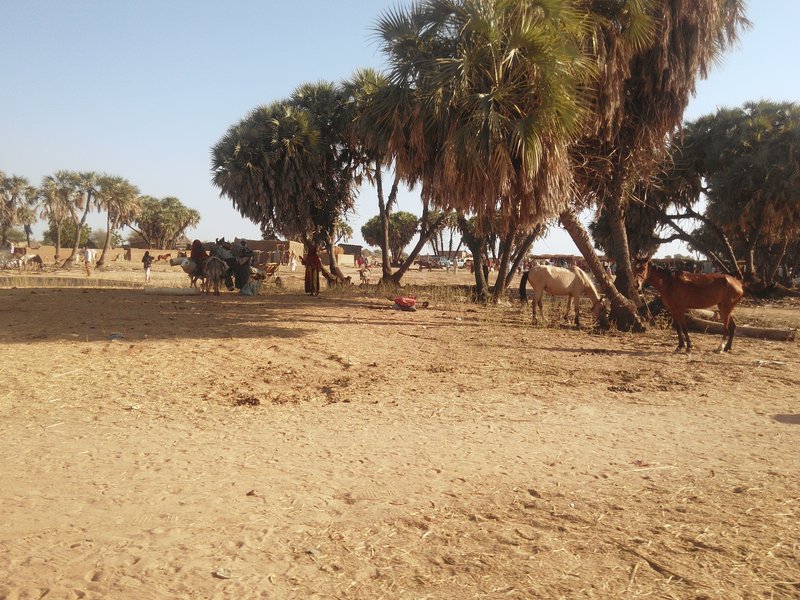 Skyline of Am Timan