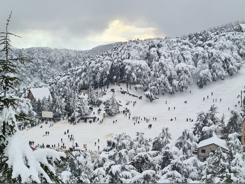 Skyline of Blida