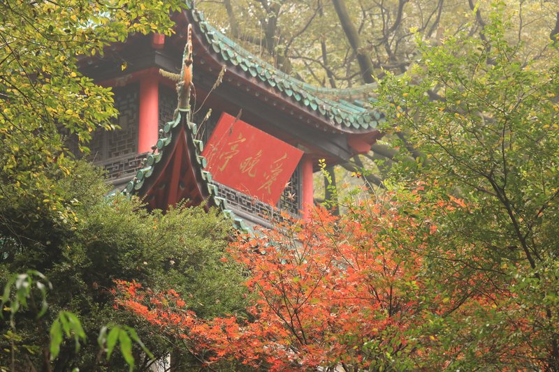 Changsha天际线
