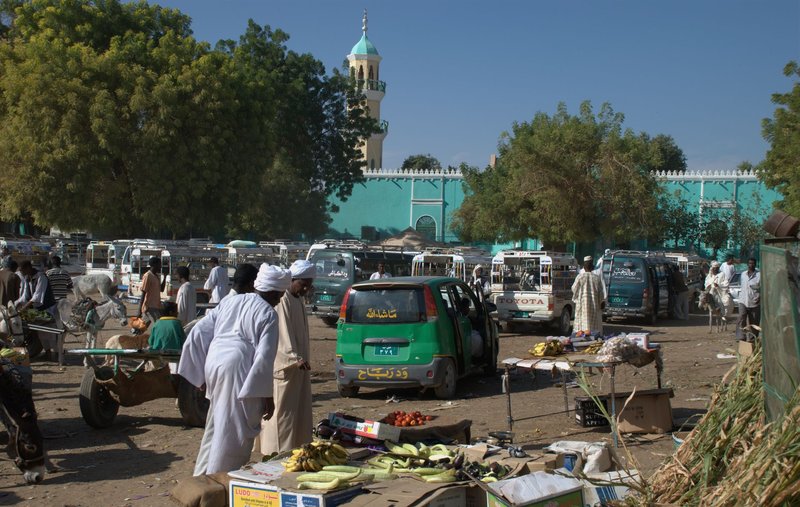Skyline of Dongola