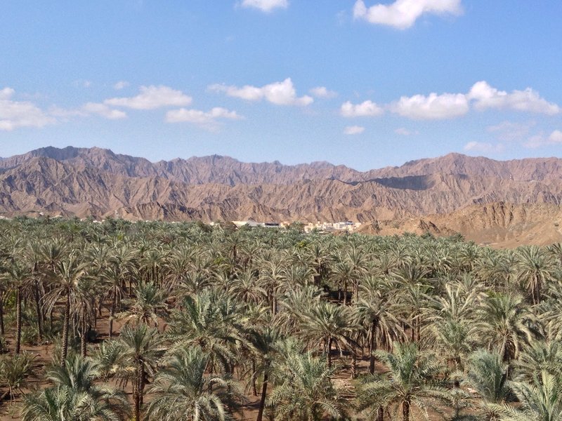 Skyline of Fujairah