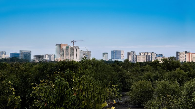 Skyline of Iloilo City