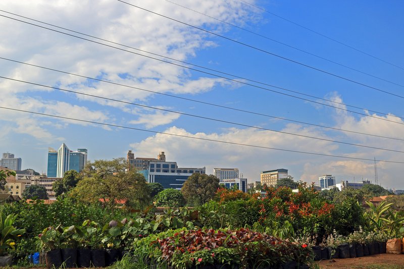 Skyline of Kampala