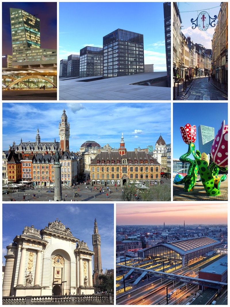 Panorama města Lille