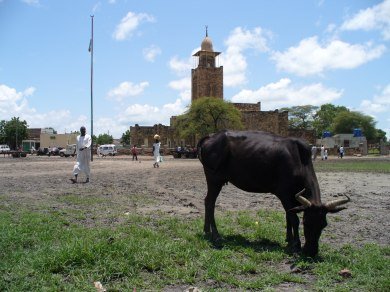 Skyline of Malakal