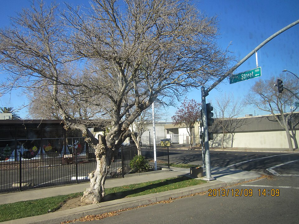 Modesto, CA — Cost of Living, Housing & Relocation Guide [2026]