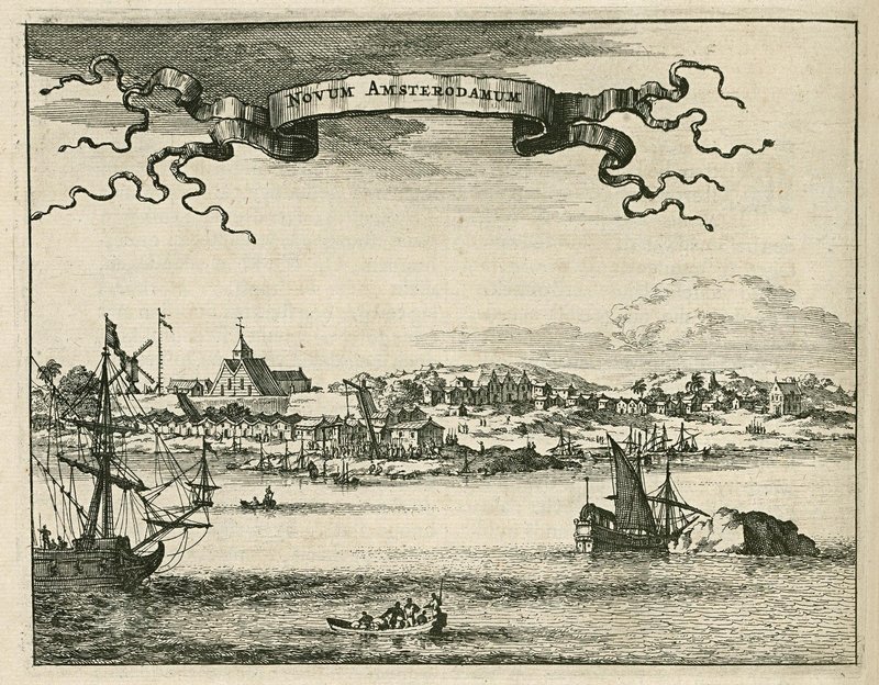 Skyline of New Amsterdam