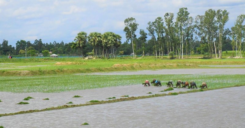 Skyline of Rangpur
