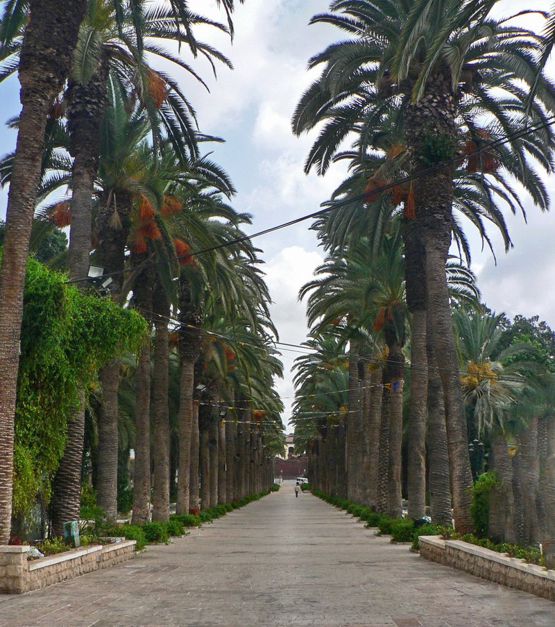 Skyline of Rishon LeZion
