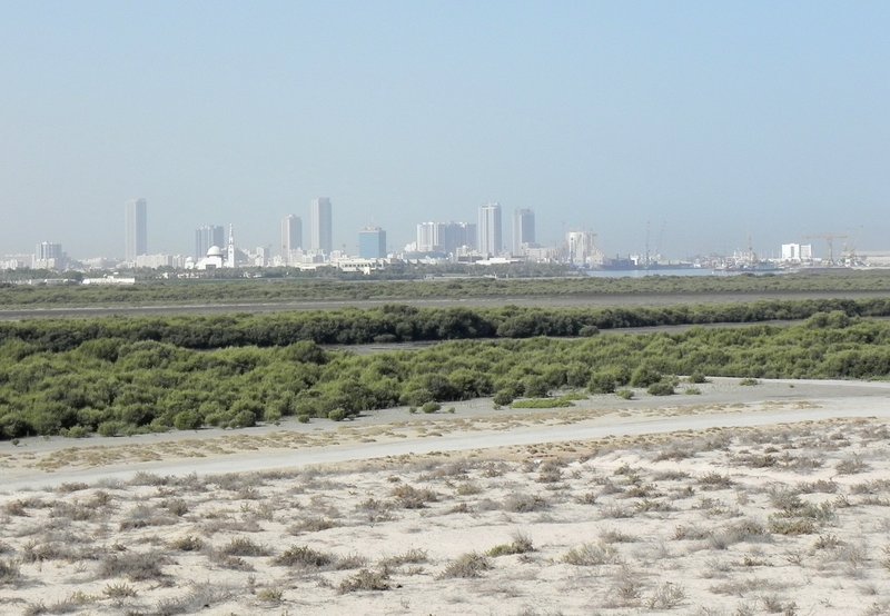 Skyline of Umm Al Quwain